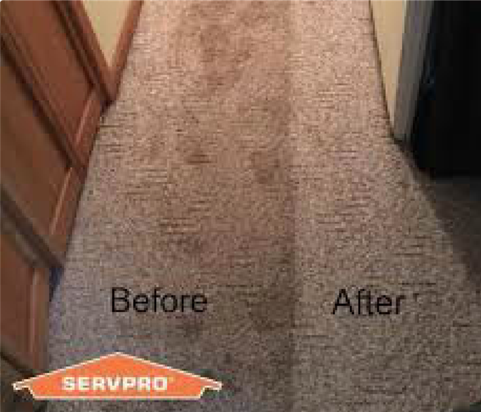 Before and after shot of carpet cleaning job.