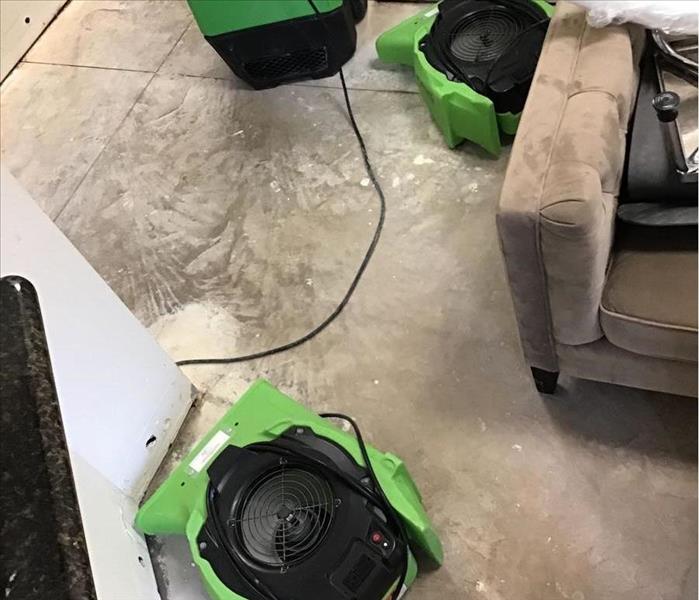 green drying equipment on the floor of a home