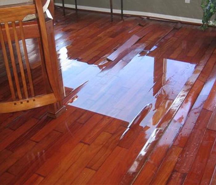 Standing water on wood flooring.