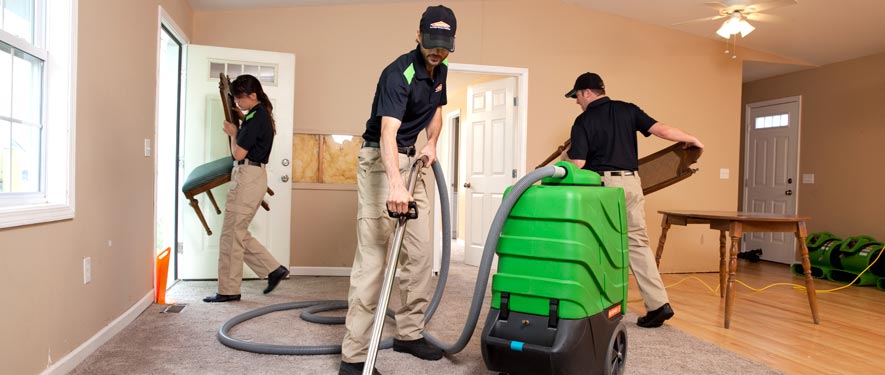 Kingwood, TX cleaning services